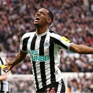 Meet your Posher, Haiden